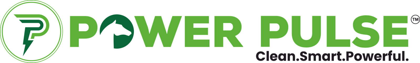 Power Pulse Logo
