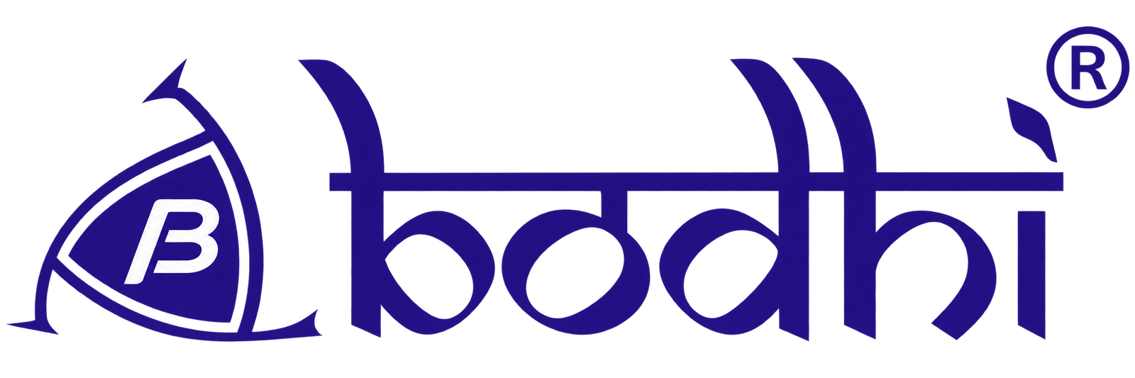 Bodhi Energy Solution